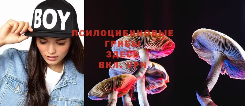 Псилоцибиновые грибы Psilocybe  Алапаевск 